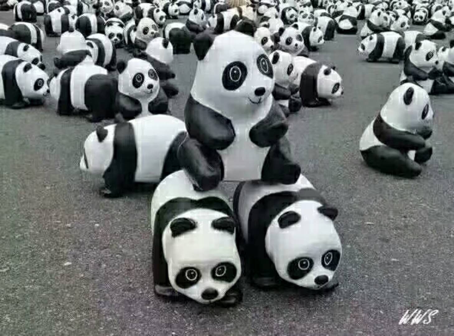 卡通熊猫春节现货租售图片