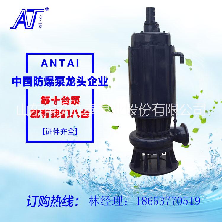 厂家直销安泰WQB25-10-2.2厂用防爆排污潜水泵  排污泵