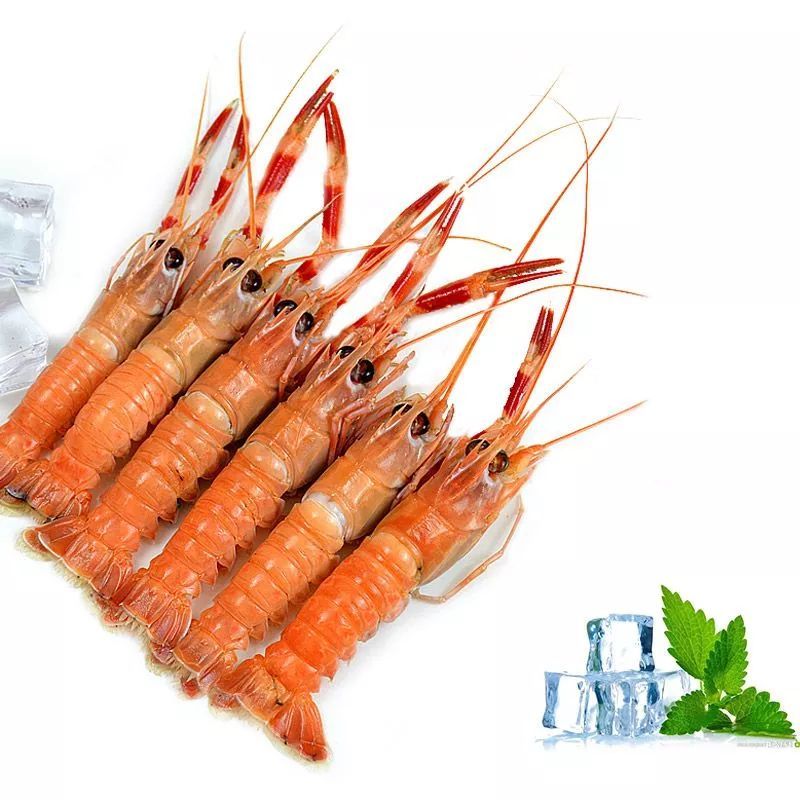 深海龙虾货源 海鳌虾价格海虾批发批发