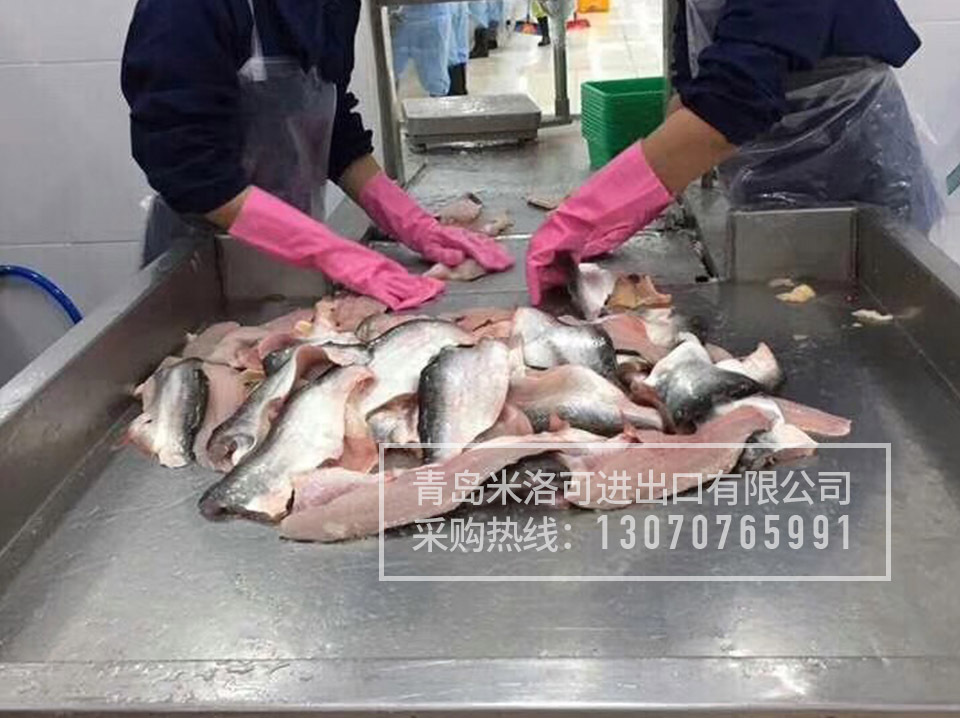 越南进口冷冻越南巴沙鱼柳龙利鱼片  湄公鱼 酸菜鱼批发 越南巴沙鱼柳龙利鱼片