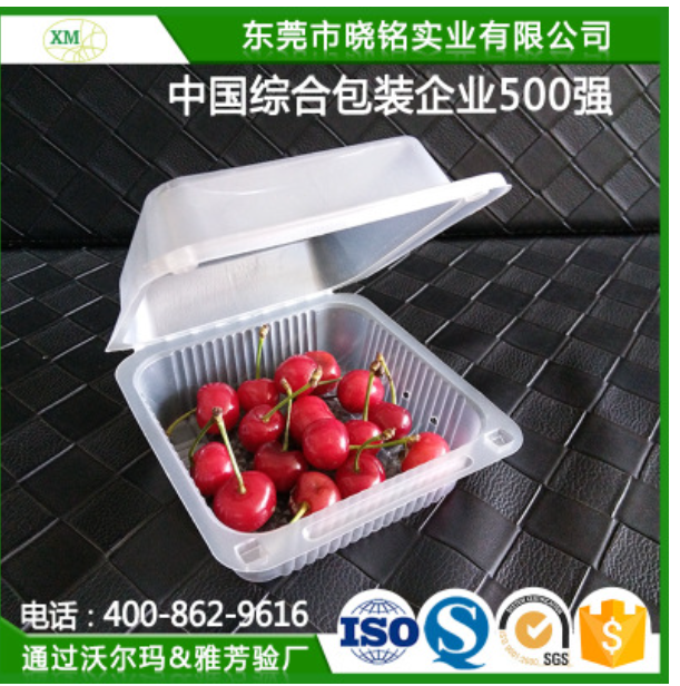 东莞市塑料盒子水果吸塑定制厂家