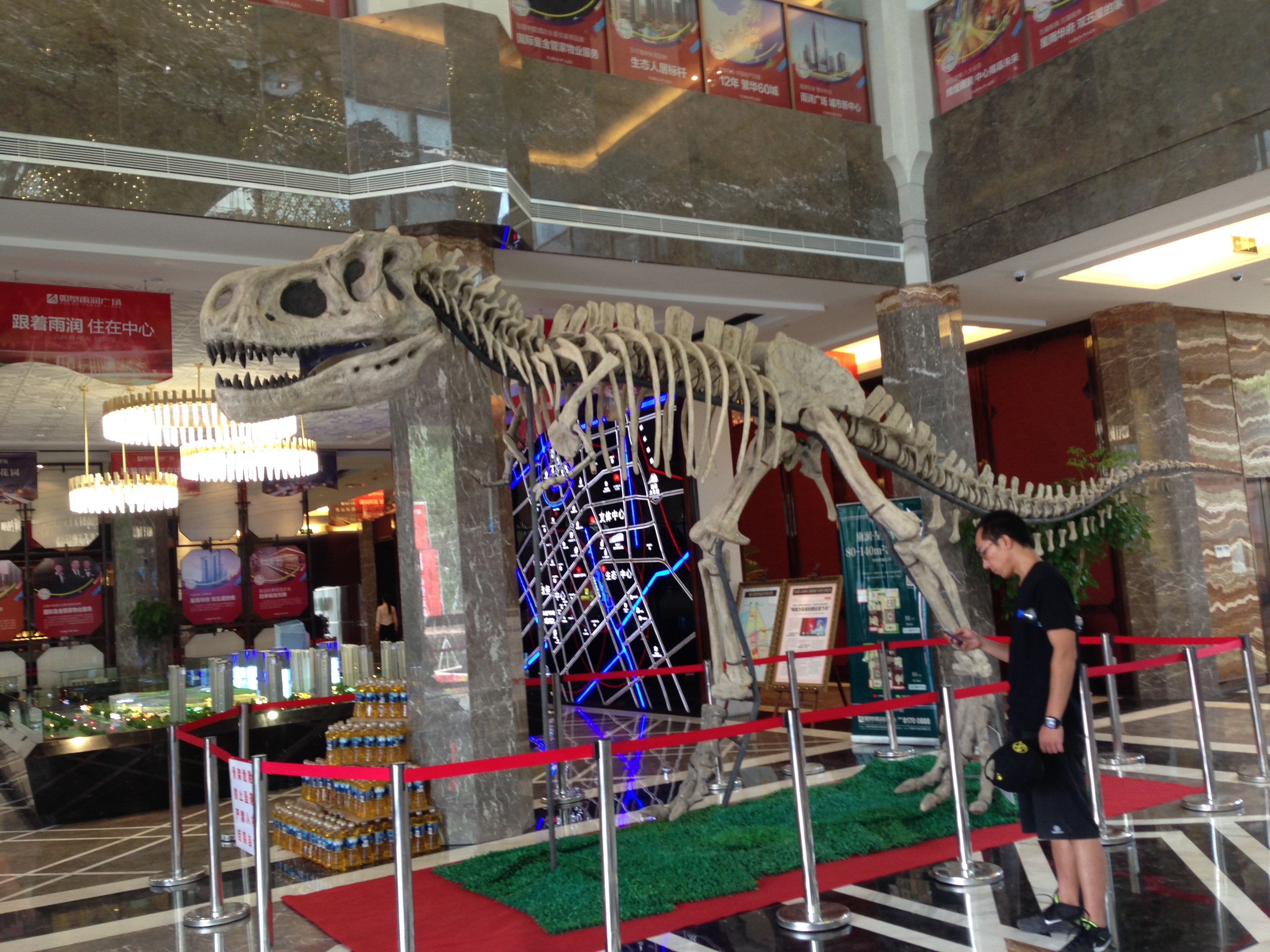 3米-30米大型仿真恐龙出租 有动作有声音