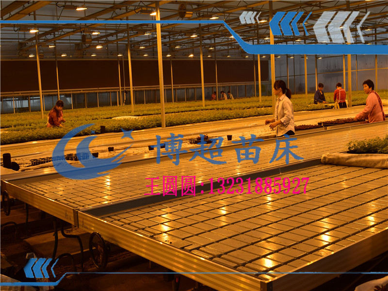 北京潮汐苗床面板-潮汐式灌溉移动苗床-潮汐水盘配件