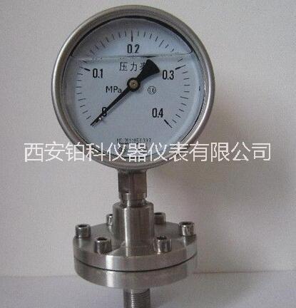 油侵式压力表防腐耐震隔膜压力表YTP-100/YTPFN-150精度1.6级不锈钢材质