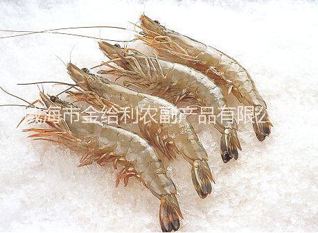 山东对虾海虾价格熟冻虾姑肉货源批发