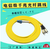 工厂直销3米fc-lc单模双芯电信级光纤跳线尾纤，可订制长度3米单模双芯FC-LC光纤跳线图片