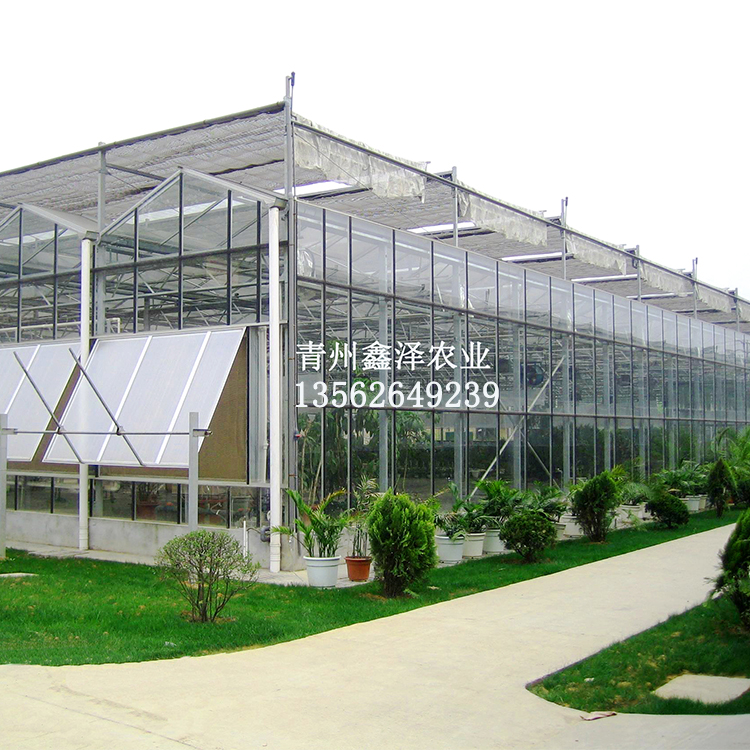 农用玻璃温室 蔬菜养殖农用玻璃温室 专业建造温室大棚工厂 直销价