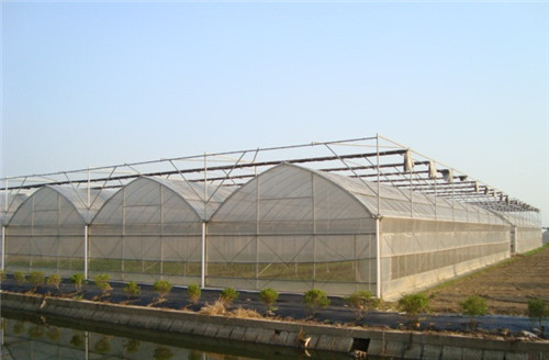 不同结构温室大棚使用功能不同 山东一道农业科技有限公司