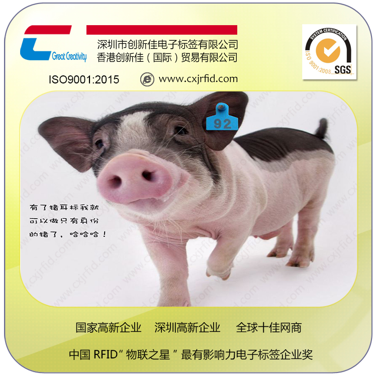 rfid动物电子耳标 uhf超高频猪牛羊射频芯片耳标牌 rfid畜牧业养殖统计管理图片