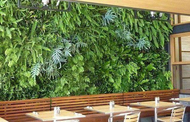 福建厦门植物墙植物背景墙公司形象墙室内室外绿植墙设计制作安装图片