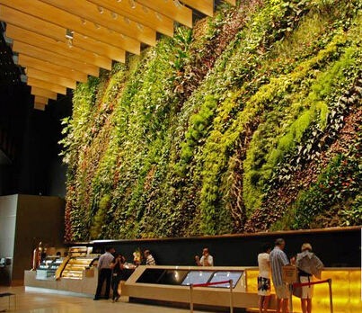 广东广州深圳生态植物墙公司提供景观植物墙设计安装价格经济优惠图片