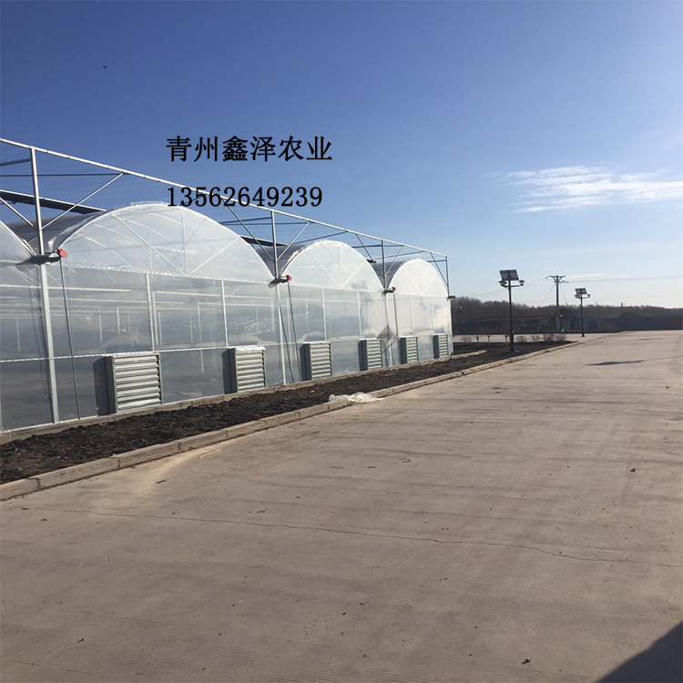 新型薄膜塑料蔬菜温室大棚建造、薄膜塑料温室建造价格、优质蔬菜大棚