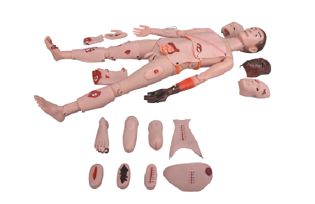 供应KAY/H111全功能创伤护理训练模拟人  康谊牌断肢止血创伤护理模型