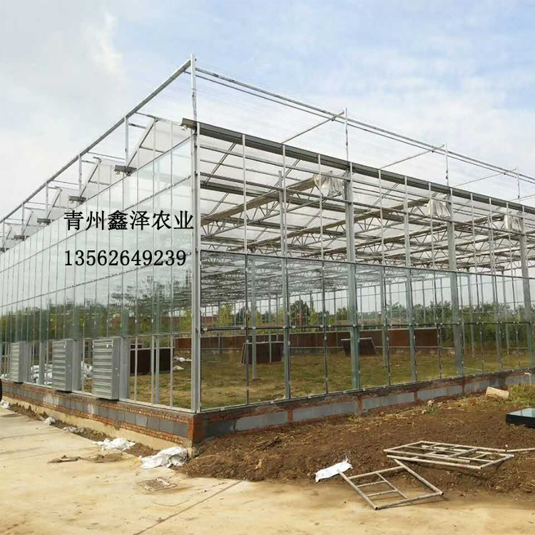 内蒙古玻璃温室工程 专业温室工程建设  农业玻璃展厅建设 智能玻璃温室