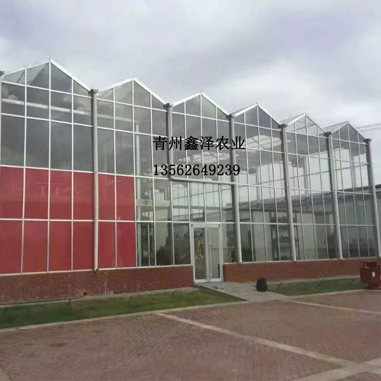 玻璃温室 智能玻璃温室 无土栽培温室建设价格 旅游观光玻璃温室 新型观光温室