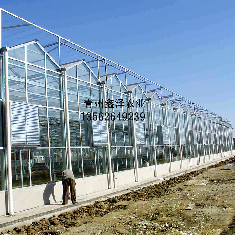 生态餐厅造价 厂家 生态餐厅建设 玻璃温室工程 玻璃温室 工程