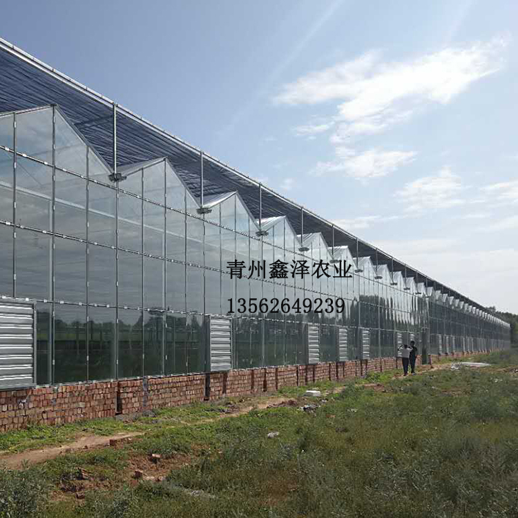 青州鑫泽农业科技有限公司专业团队,设计-规划-生产-施工一条龙服务,玻璃温室,节省成本, 玻璃温室大棚 宁夏玻璃温室