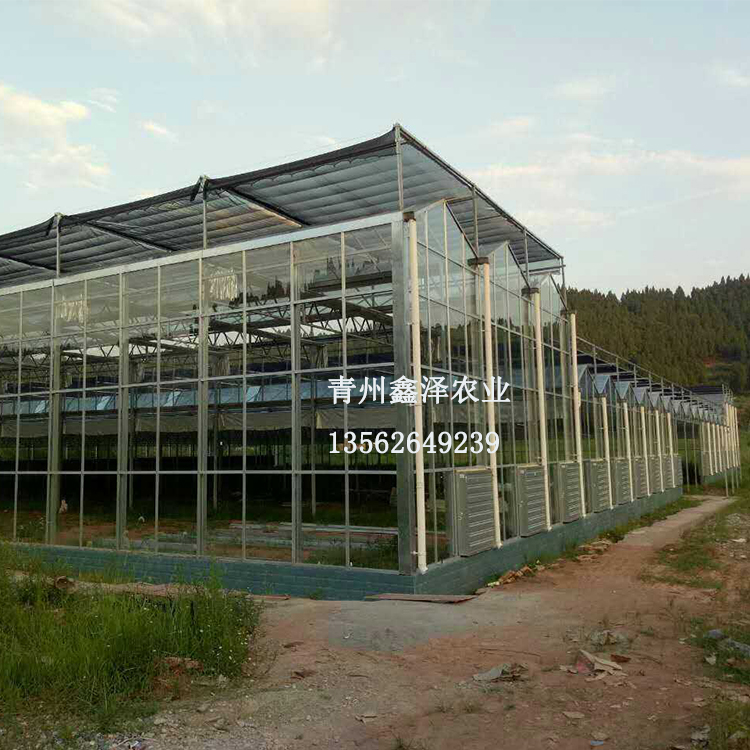 玻璃温室厂家 温室大棚厂家 大棚 赣州温室工程 赣州玻璃温室建设