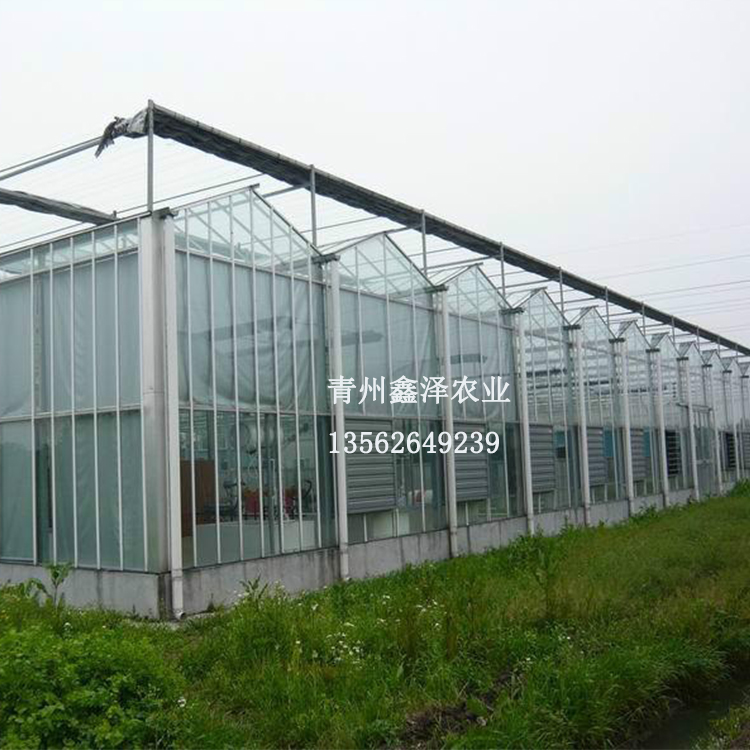 新疆温室工程 玻璃大棚建设 玻璃大棚 玻璃大棚建设 玻璃大棚建设厂家