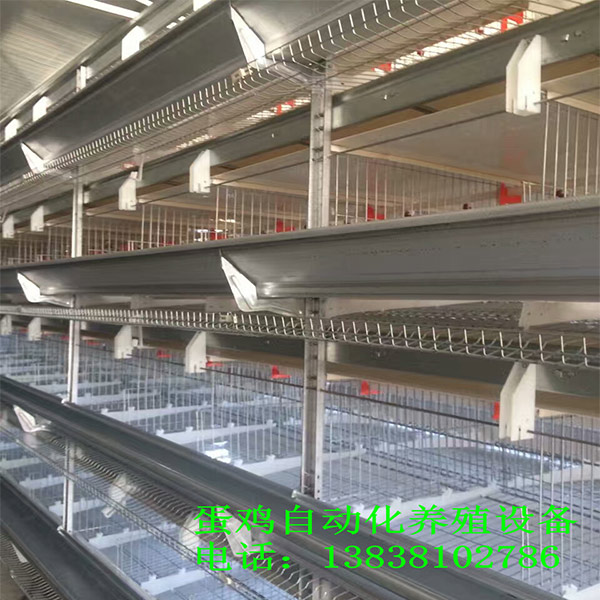 层叠式自动化养鸡笼 立体多层养殖设备 现代化养鸡 宏伟厂家现货供应
