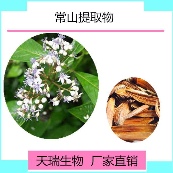 常山提取物  常山粉  常山浸膏