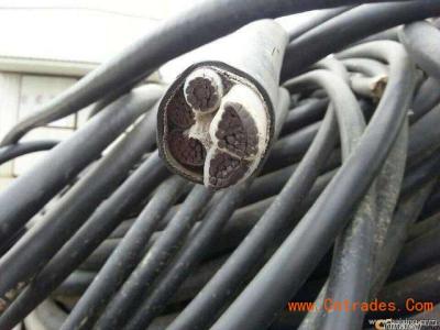 低压带皮电缆回收价格批发