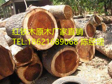 温州红铁木是什么木，红铁木价格，批发