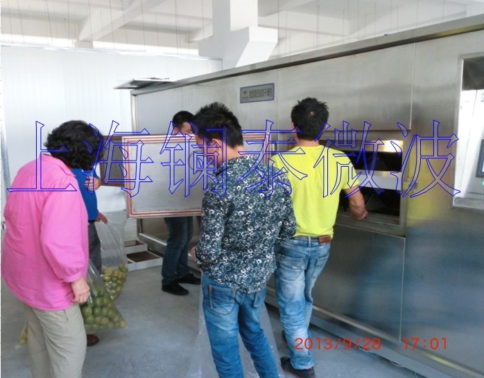 上海微波厂家直销 真空干燥机 水果干燥机 榴莲烘干机图片