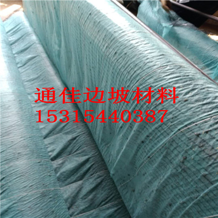 厂家直供四川自贡抗冲生态毯护坡材料  加筋防冲毯