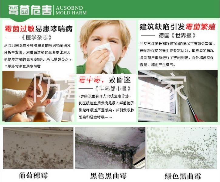 涂料防霉剂水性涂料防霉剂广州艾浩尔防霉剂生产厂家