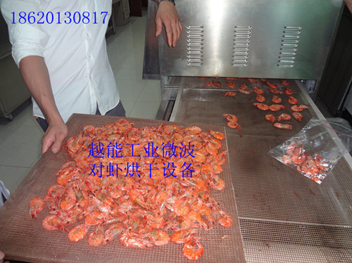 广州市微波黄粉虫烘干设备厂家