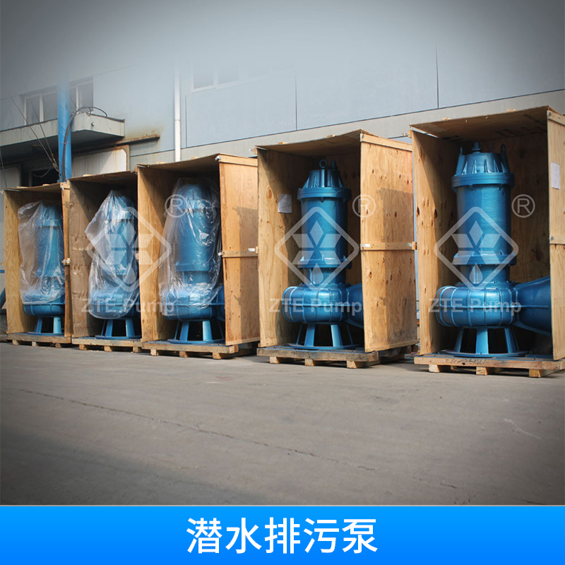 天津中蓝WQAS污水泵图片