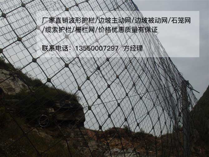 SNS被动防护网（水电站专用）-保山市被动防护网厂家-拦石网