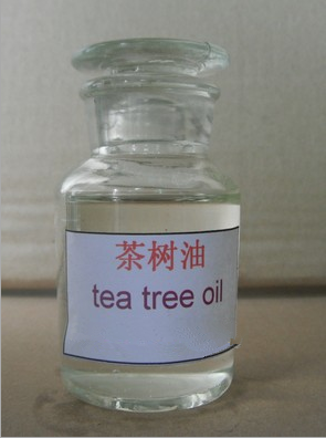 茶树油宠物精油茶树精油Tea tree oil厂家批发包邮