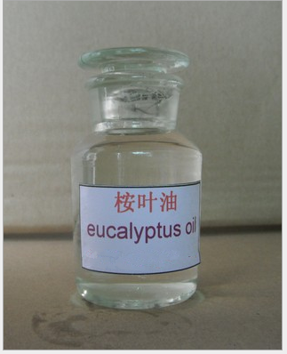 厂家供应桉叶油尤加利精油桉树精油Eucalyptus oil