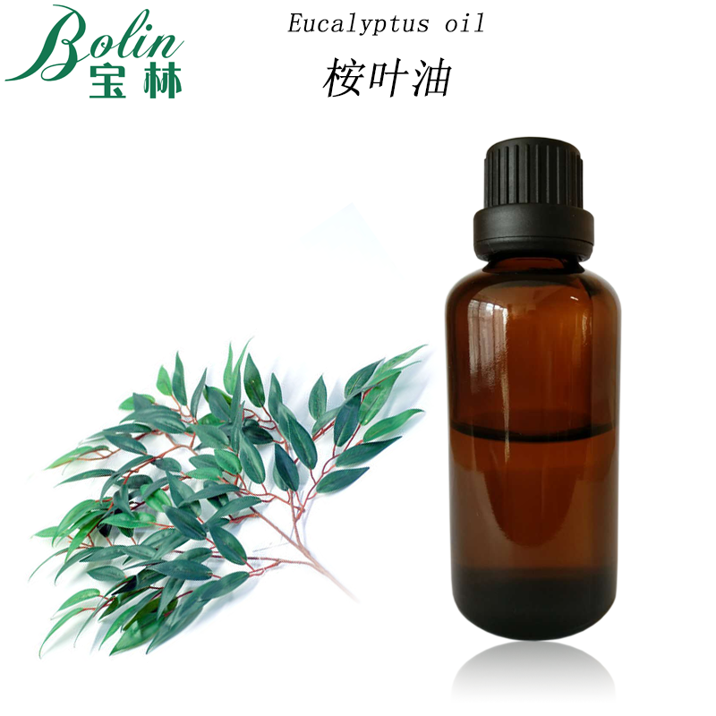 厂家供应桉叶油尤加利精油桉树精油Eucalyptus oil