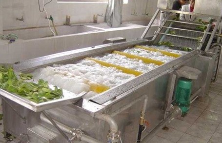 潍坊市草莓清洗流水线厂家