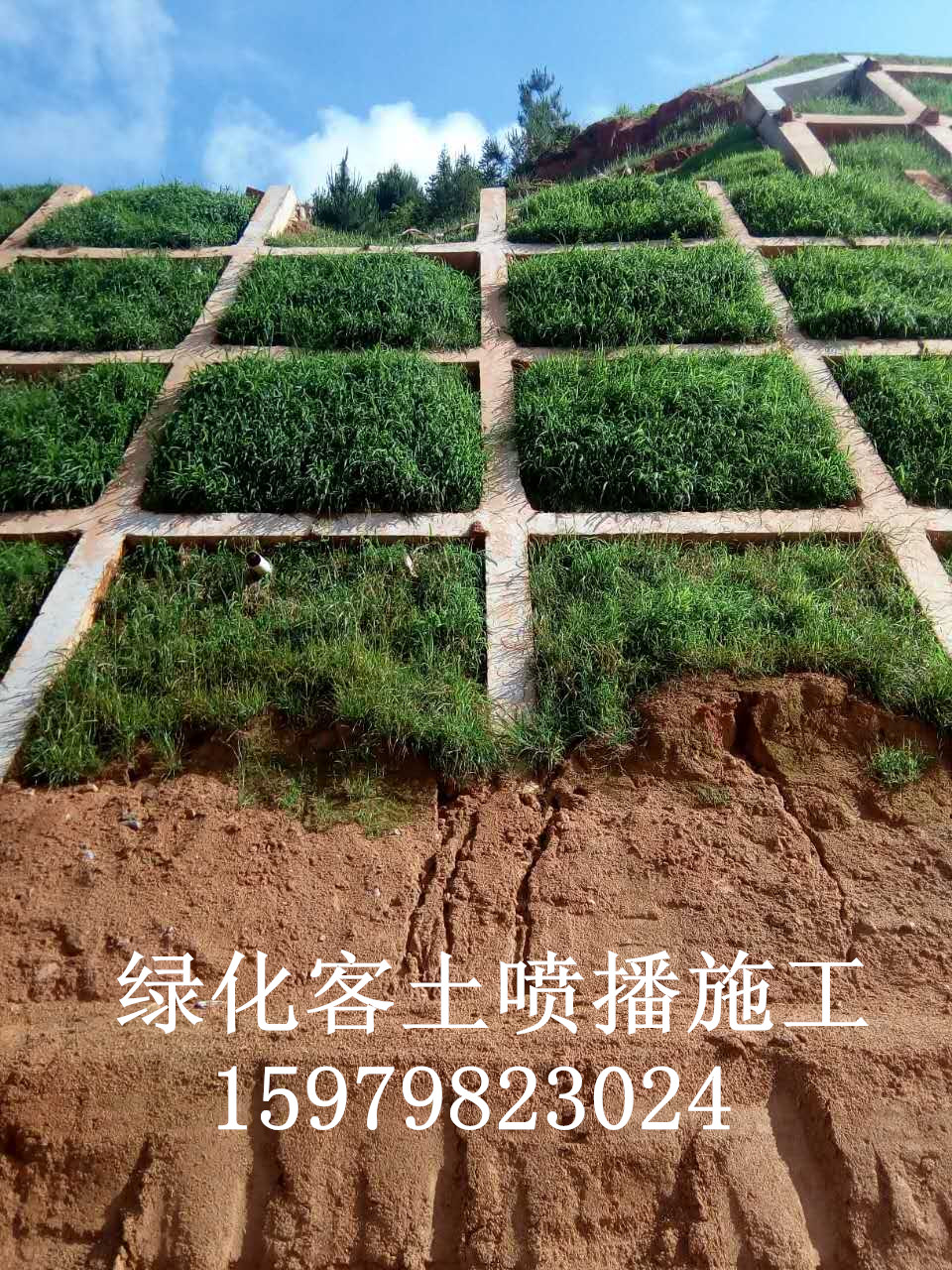 广东边坡绿化施工-价格-工程-公司-团队【老张锚杆锚索打钻】