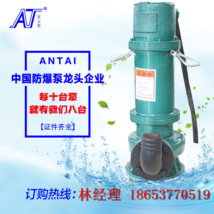 济宁安泰泵业厂家直销BQS25-10-2.2小型矿用隔爆型排沙泵 潜水排沙泵