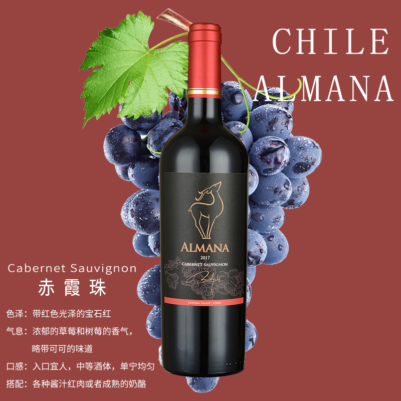 智利红酒进口代理商，智利红酒批发商，智利高性价比红酒进口商
