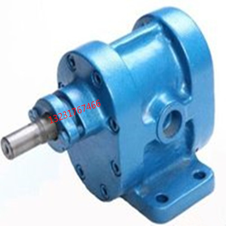 厂家直销齿轮油泵 燃油泵 油泵输油泵 可定做 立式泵