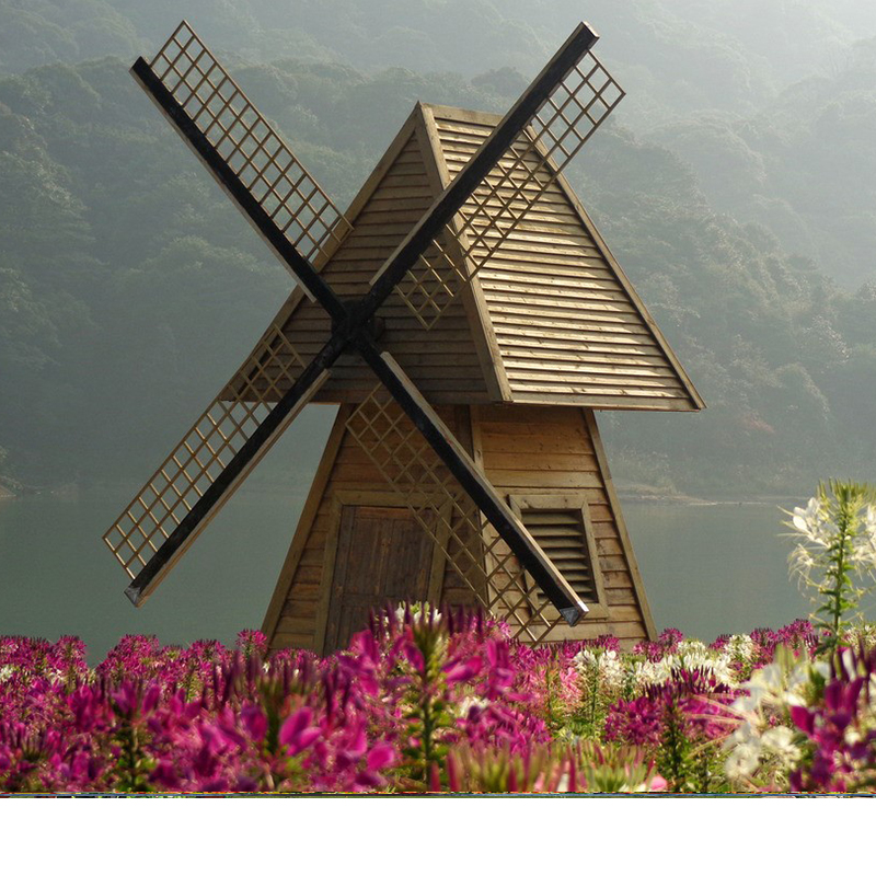 新疆荷兰风车景观
