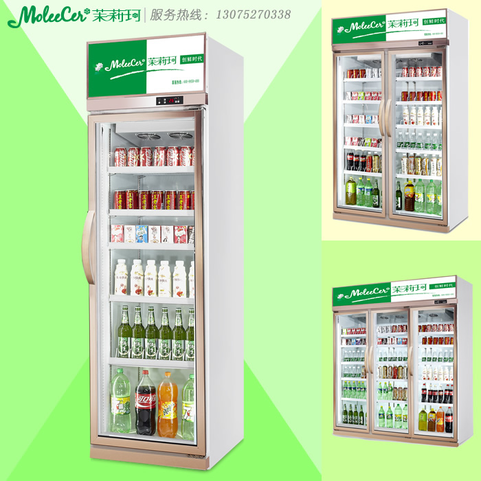 广东冰柜LG-600J香槟色单门经济型冷藏展示柜冷柜价格
