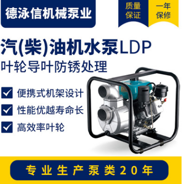 LEO利欧汽（柴）油机泵LGP卧式汽动清水泵家用农业泵抽 水机增压泵