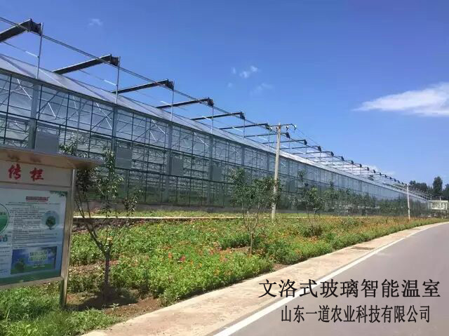 铁岭开原昌图 铁岭开原昌图恒温智能温室棚育苗室节能日光温室大棚