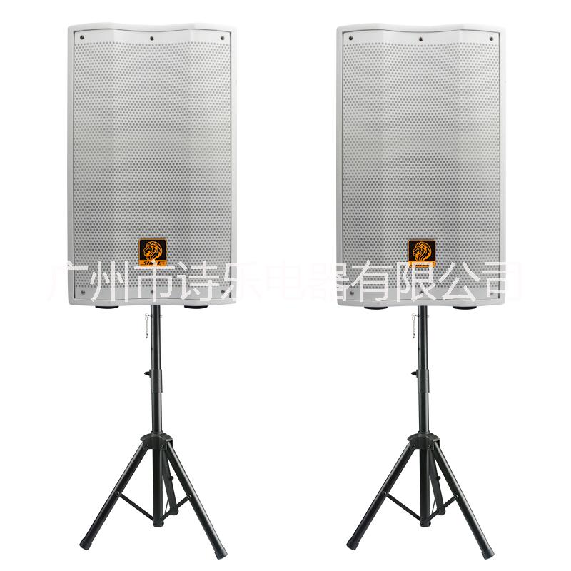 厂家直销专业音响BM96大型会议室音响专业舞台ktv音箱 白色二分频音响