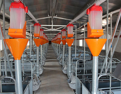 现代自动化养猪给各大养殖户带来了哪些便利与方便 自动化下料设备