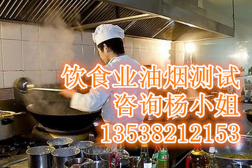 深圳市饮食业油烟测试呼小杨厂家饮食业油烟测试呼小杨