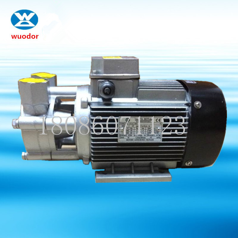 元新YS-30高温循环系列YS-30A-200高温油泵200度高温热传导油泵模温机专用泵图片