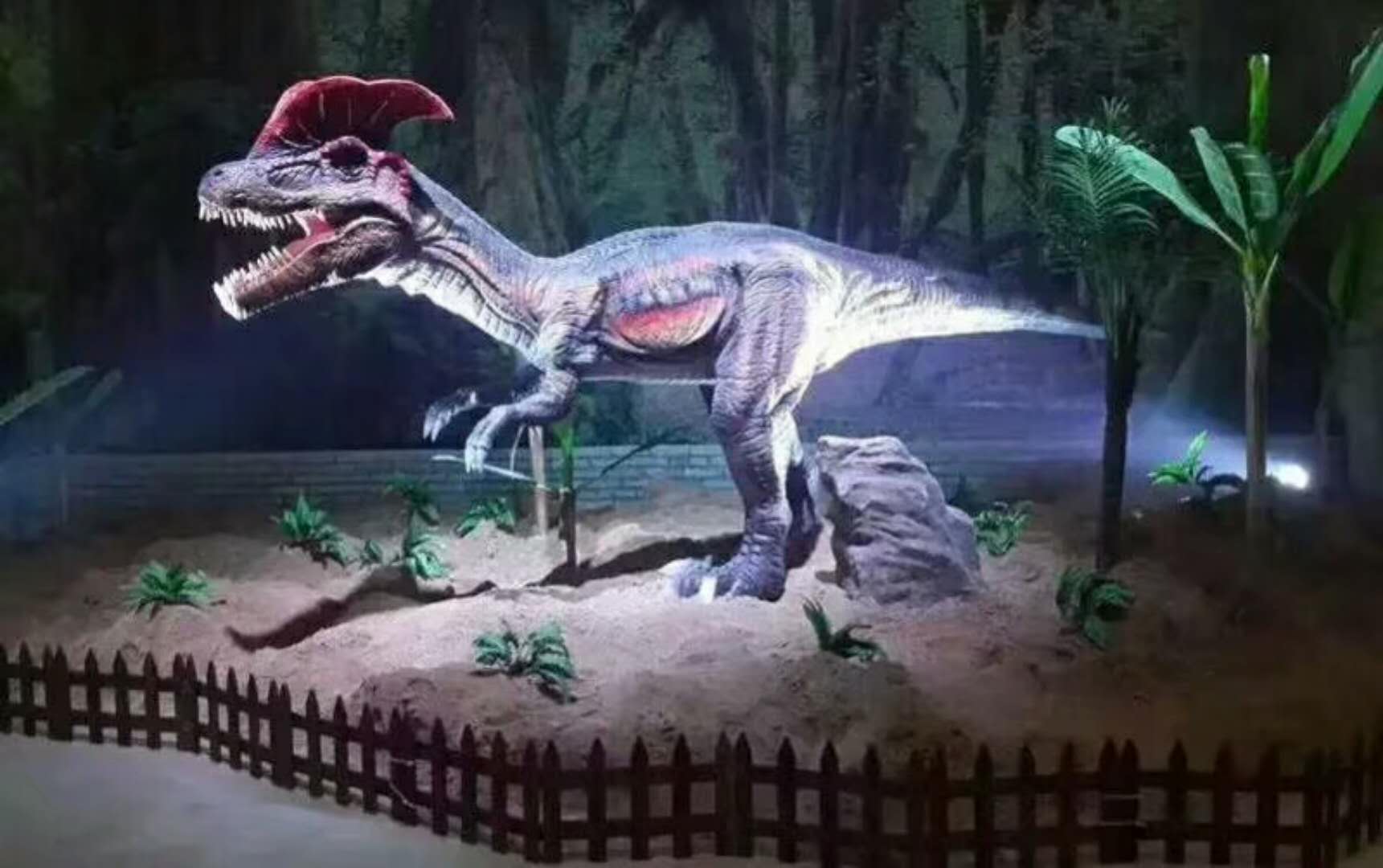 恐龙模型 恐龙出租 霸王龙 恐龙模型 恐龙出租 仿真恐龙